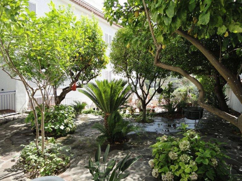Hotel Candia Casamicciola Terme Bagian luar foto